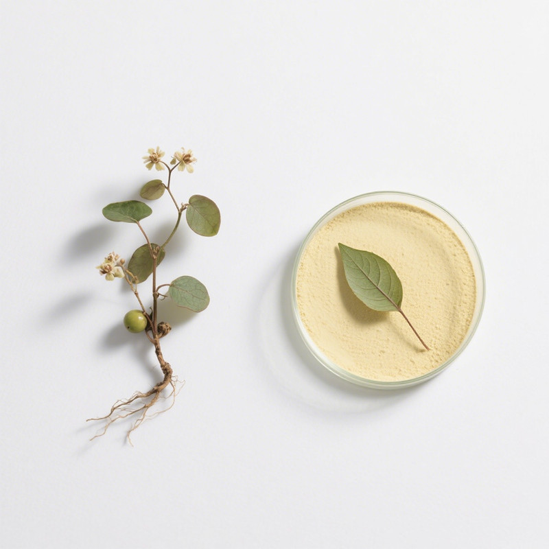 Bulk Anhydroicaritin Supplier